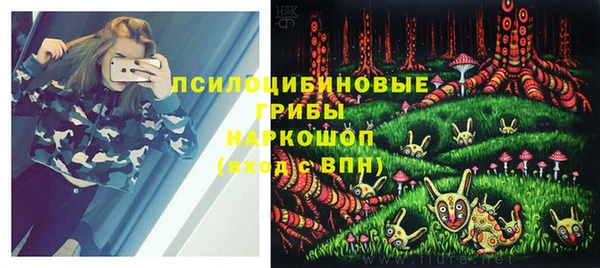 МДПВ Мегион