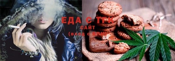 СК Медногорск