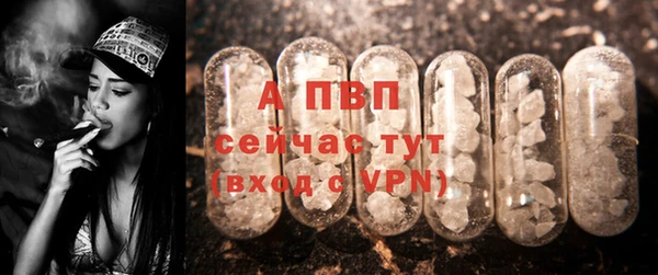 СК Медногорск