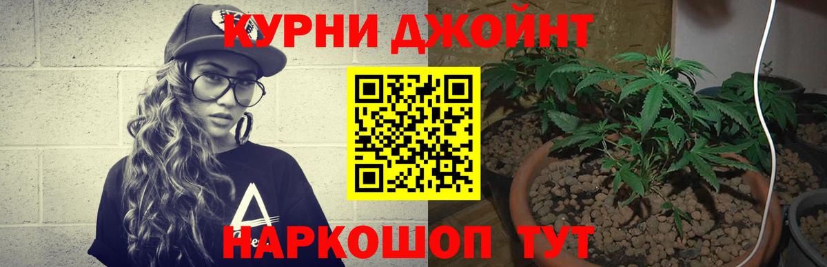 Шишки марихуана планчик Новочебоксарск